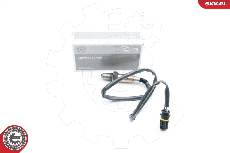 Oxygen Sensor